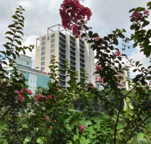 Nature, travel, tourism