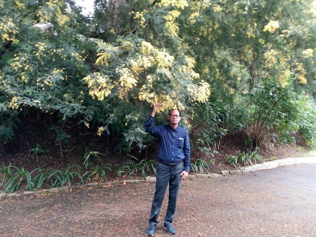 img 20190818 085252 (1)