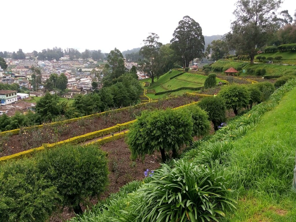 img 20190818 111702 (1)