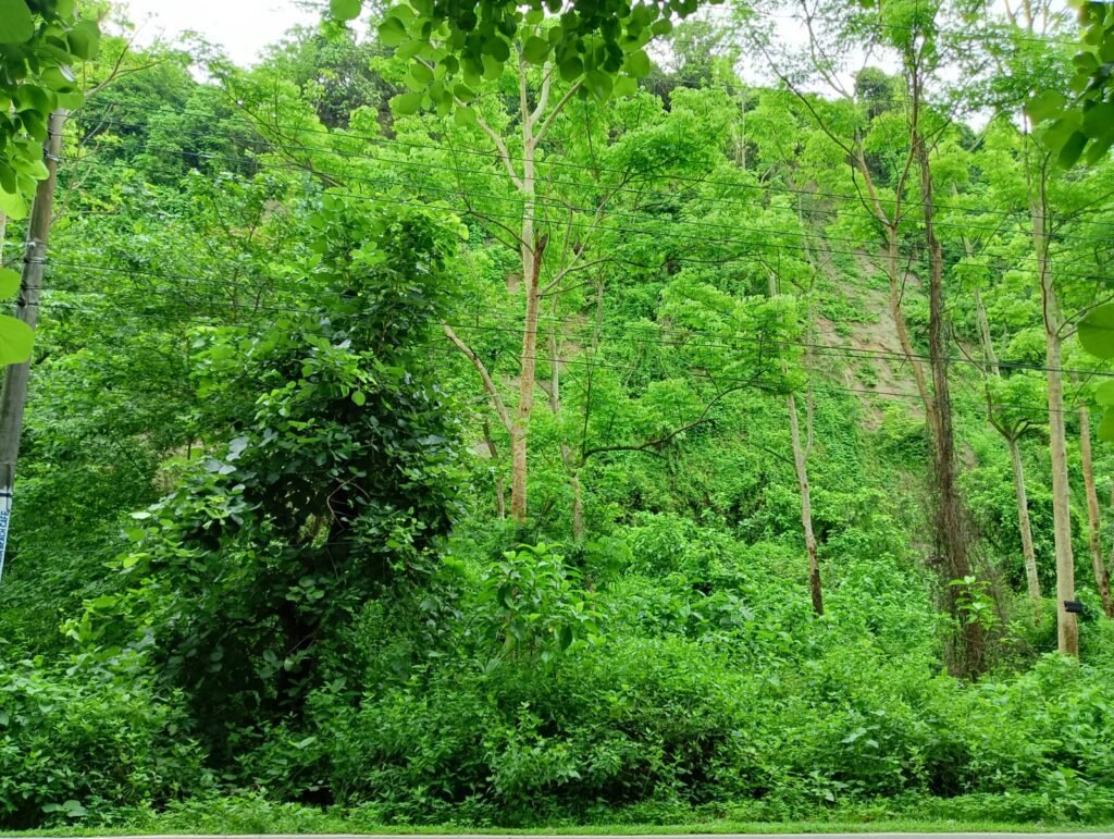 img 20240625 wa0060 (1) img 20240625 wa0060 (1)