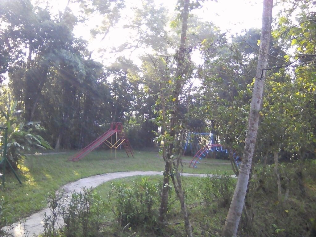 exif jpeg 420