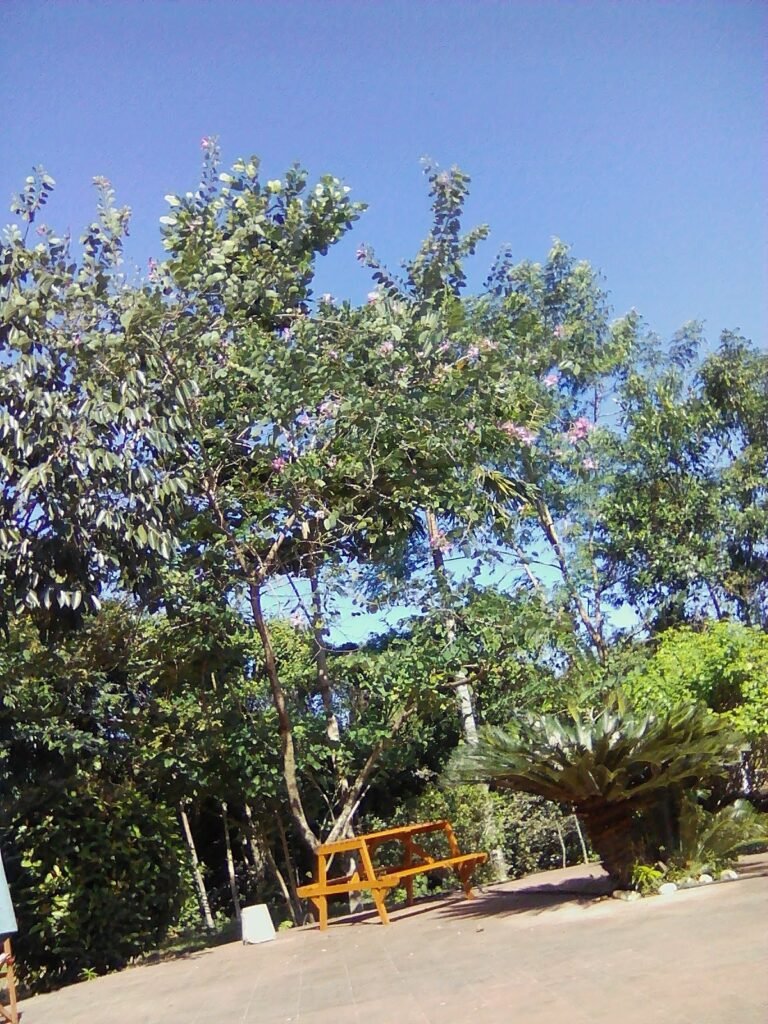exif jpeg 420