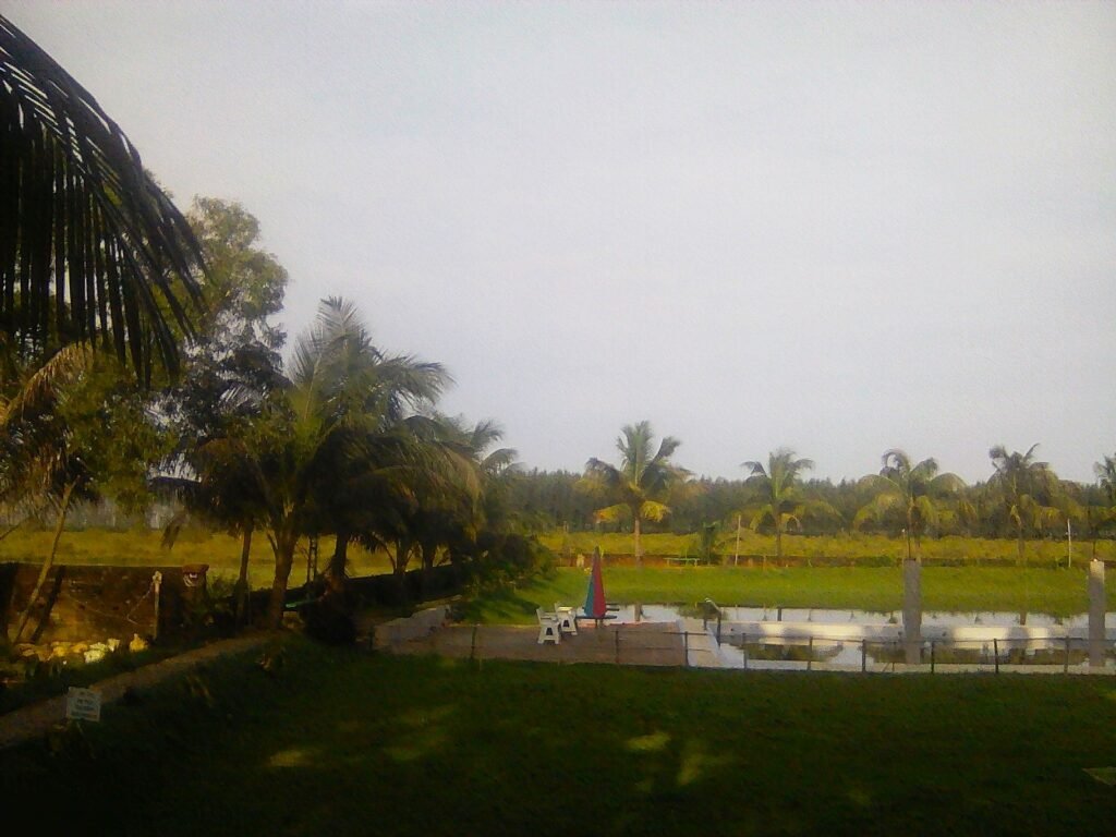 exif jpeg 420 exif jpeg 420