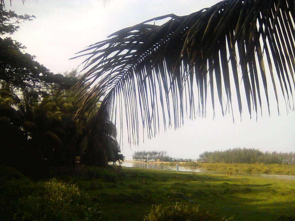 exif jpeg 420 exif jpeg 420