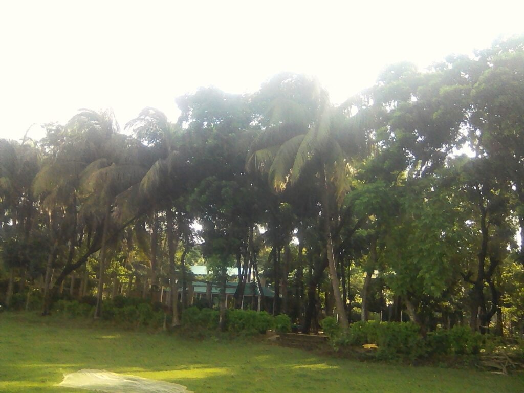 exif jpeg 420 exif jpeg 420