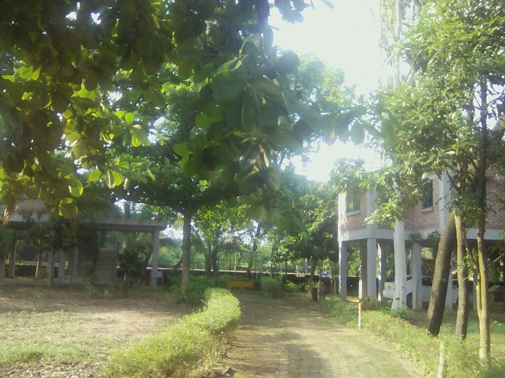 exif jpeg 420 exif jpeg 420