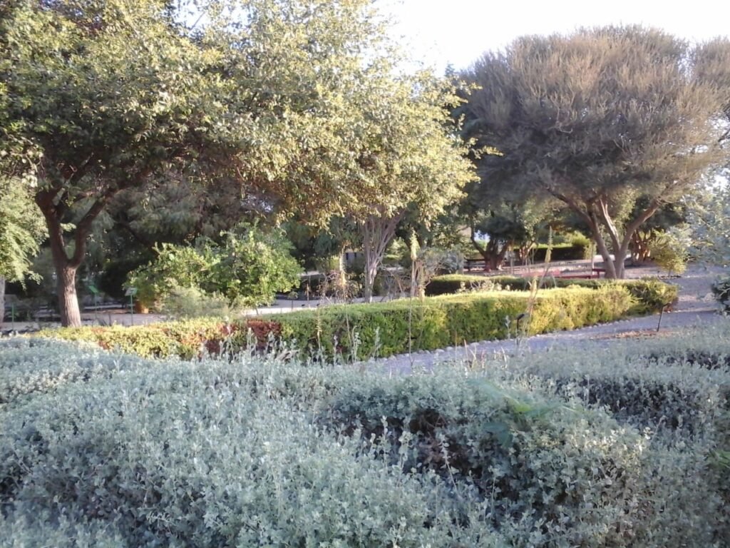 img 20240604 wa0024