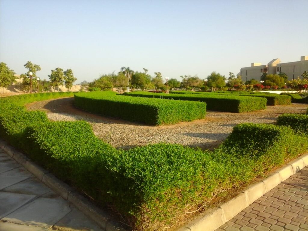 img 20240604 wa0026