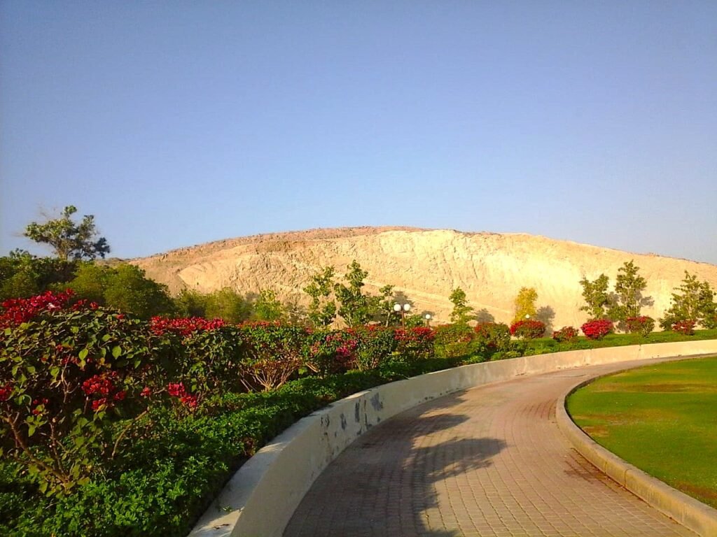 img 20240604 wa0027