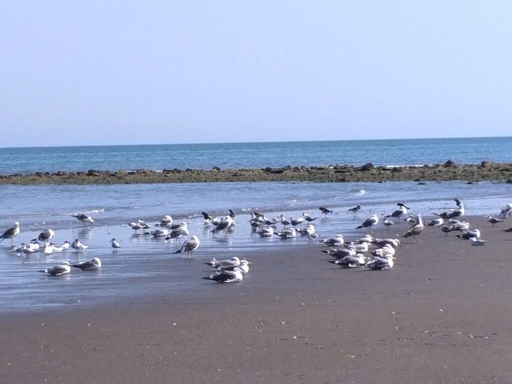 img 20240604 wa0075