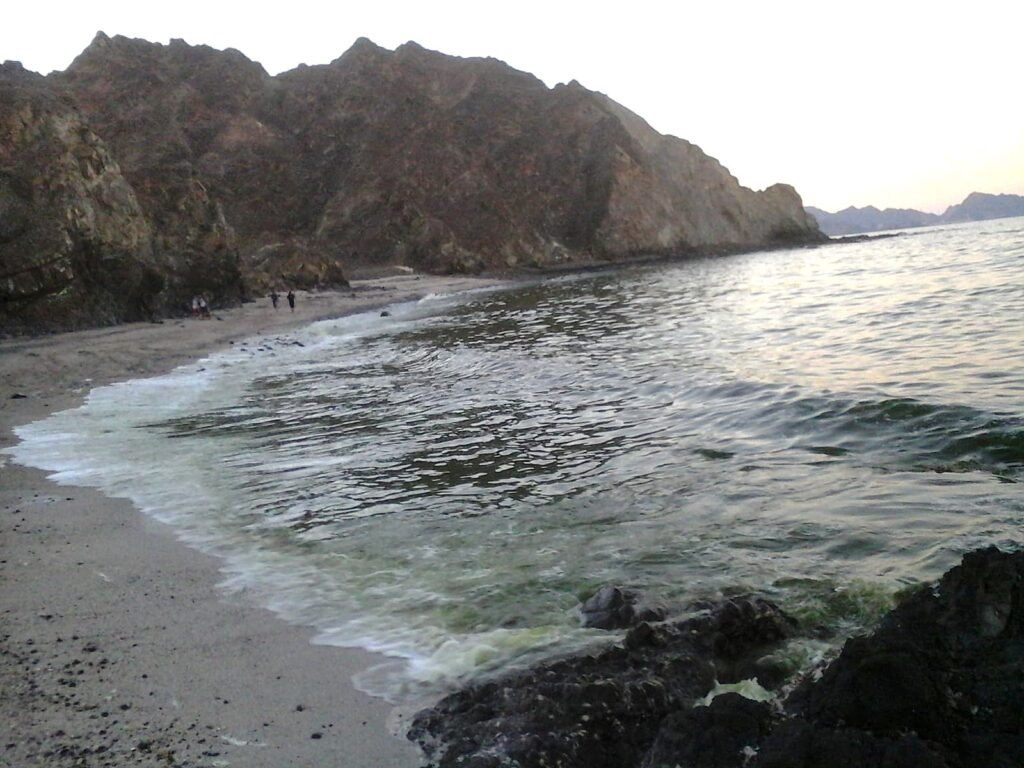 img 20240604 wa0107 (1)