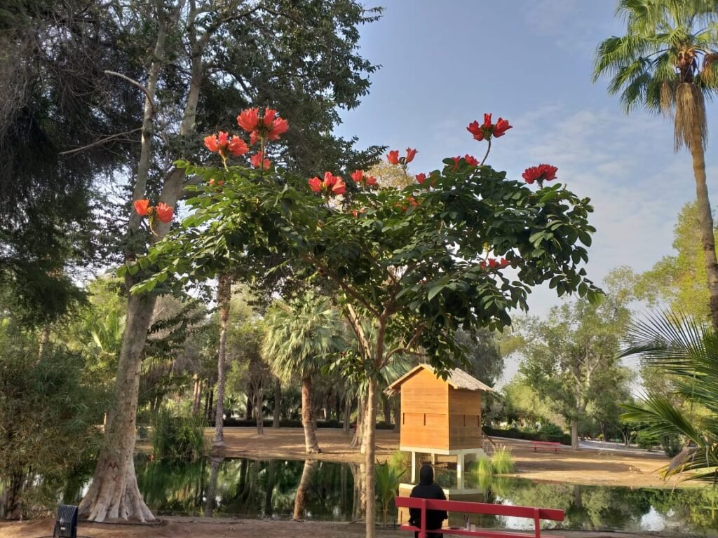 img 20240604 wa0118