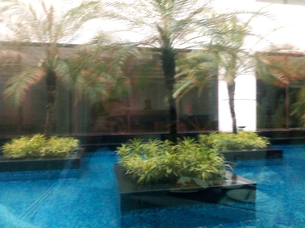 img 20190812 091223 (1)