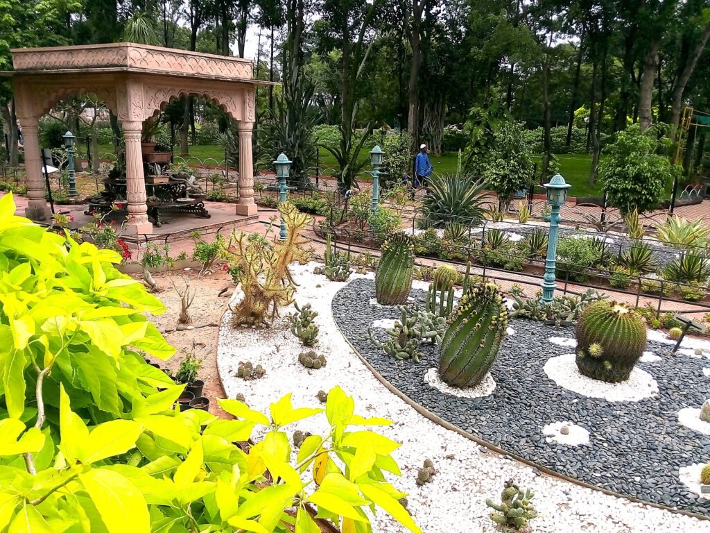 img 20190813 162426