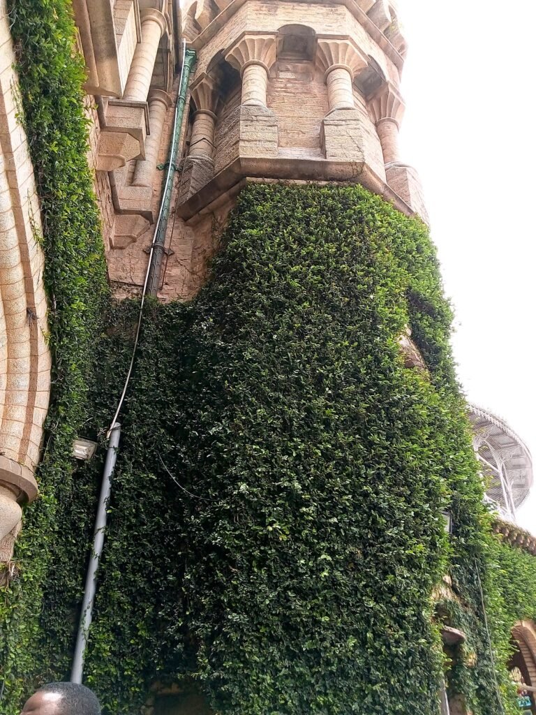 img 20190815 130545