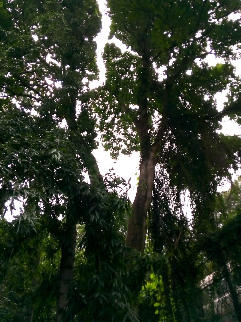 img 20190815 145750