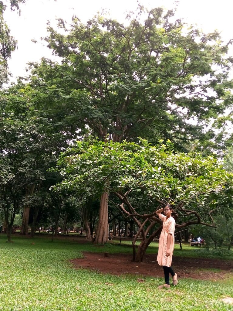 img 20190815 145922 (1)