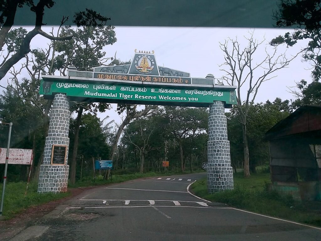 mudumalai