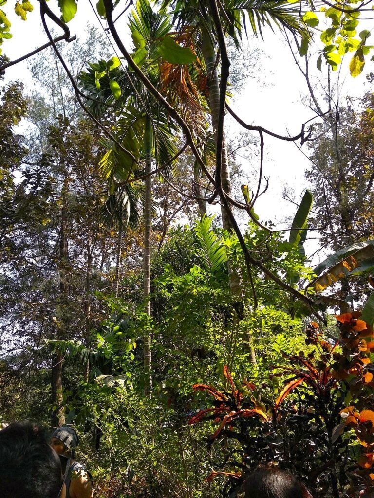 to dudsagar