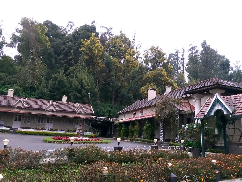 img 20190818 081045 (1)